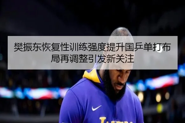 樊振东恢复性训练强度提升国乒单打布局再调整引发新关注 | LD
